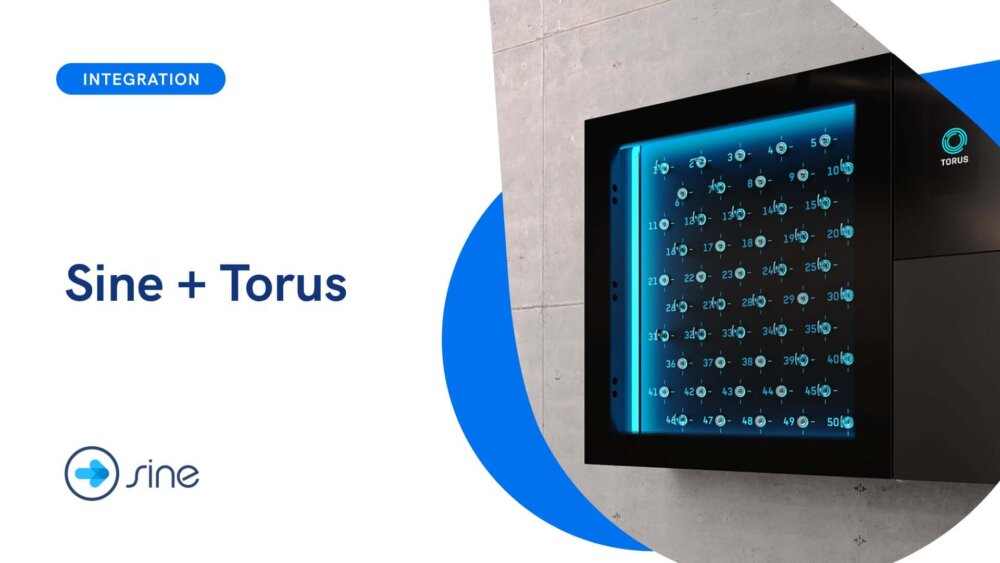 Sine + Torus video